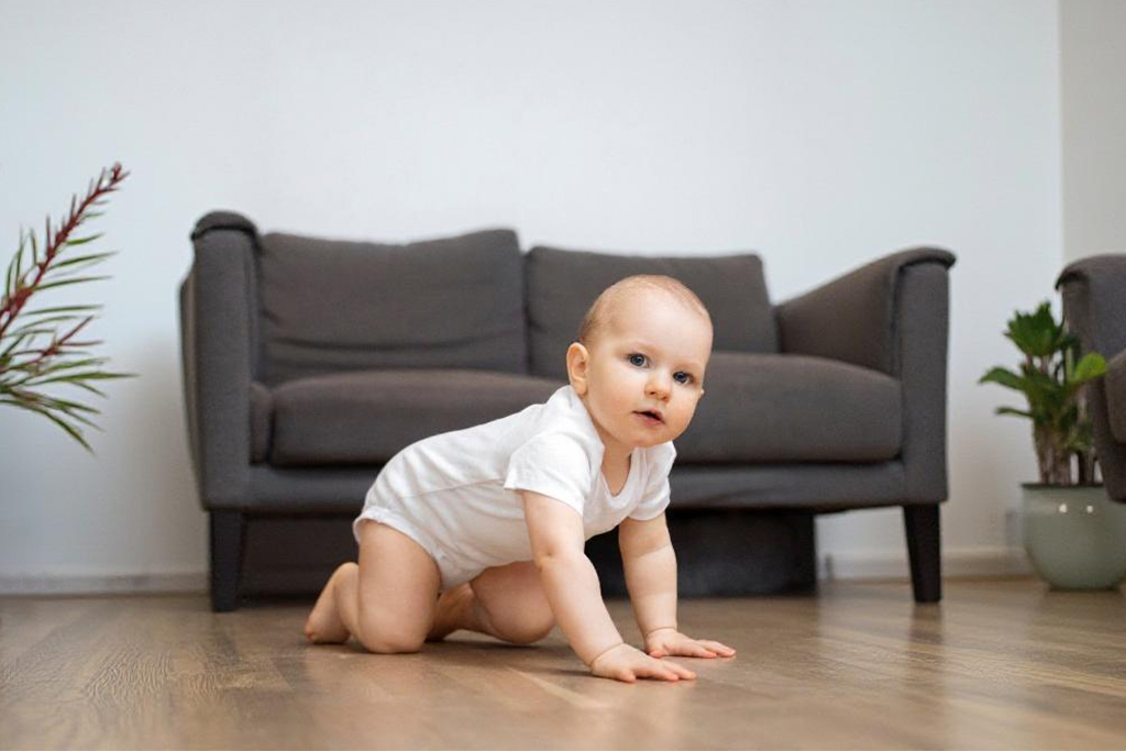 Importanta patrupediei in primul an